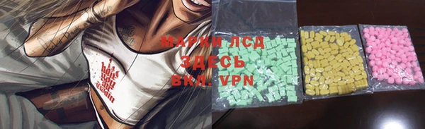 индика Алзамай
