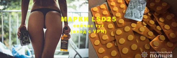прущие грибы Алексеевка
