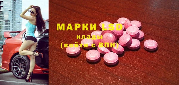 прущие грибы Алексеевка
