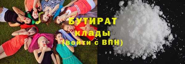 индика Алзамай