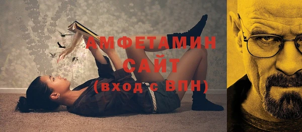 индика Алзамай